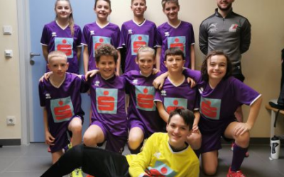Futsal Landesfinale Steyr