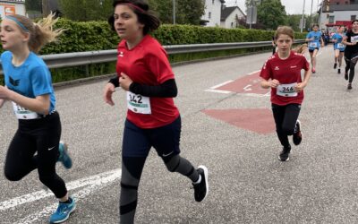 Cross-Country-Schulmeisterschaft