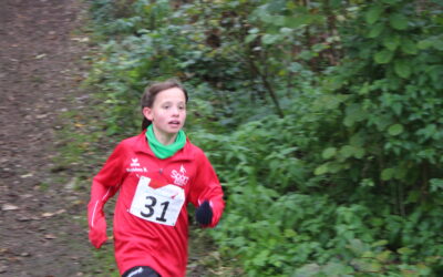 Herausragende Teamleistungen des Lokalmatadors