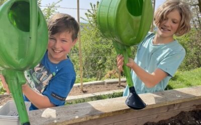 Lebensnaher Biologie-Unterricht