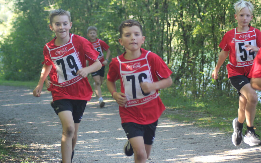 Cross-Country-Lauf: Sport, Natur und jede Menge Ausdauer